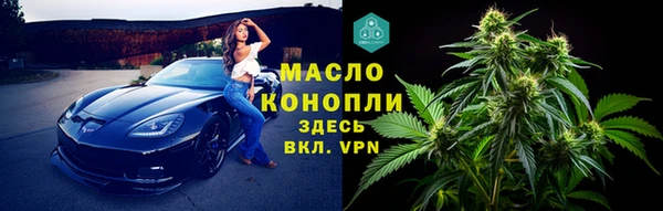 СК Дмитров