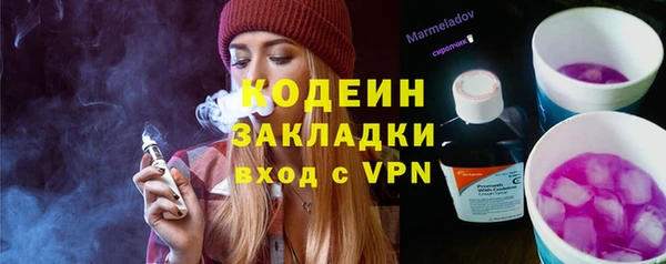 СК Дмитров