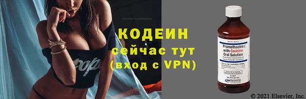 СК Дмитров
