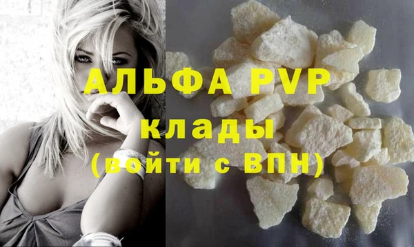 шишки Гусев