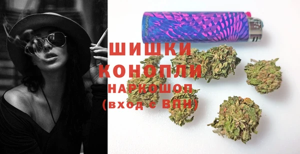 СК Дмитров
