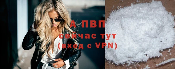 СК Дмитров